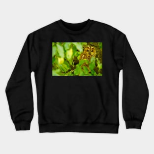 Eagle owl Crewneck Sweatshirt